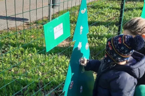 Decora il tuo albero