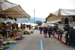 Manifestazione mercatale in via Bologna