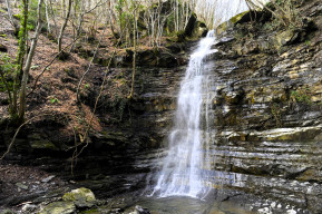 Cascata cigno bianco