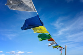 Vendetta in Tibet