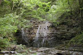 Carigiola
