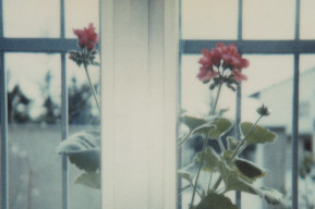 Foto di Luigi Ghirri