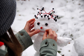 Storie sotto la neve