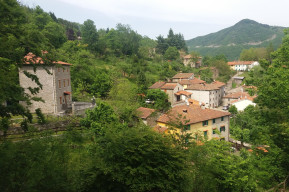 Gavigno