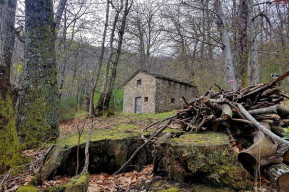 Riserva Acquerino di Cantagallo