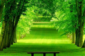 La Natura senza fretta