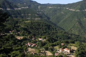 Gavigno