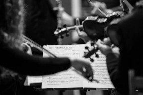 Cocnerto quartetto d'archi