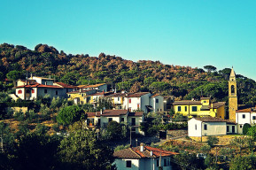 Camminata in Commemorazione dei Partigiani "Brigata Buricchi"